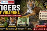 Tigers of Vidarbha: Conservation, Conflict & Sustainable Tourism