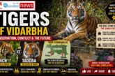 The success story of tiger conservation in Vidarbha
