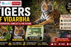The success story of tiger conservation in Vidarbha
