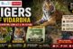 The success story of tiger conservation in Vidarbha