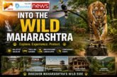 Into the Wild Maharashtra